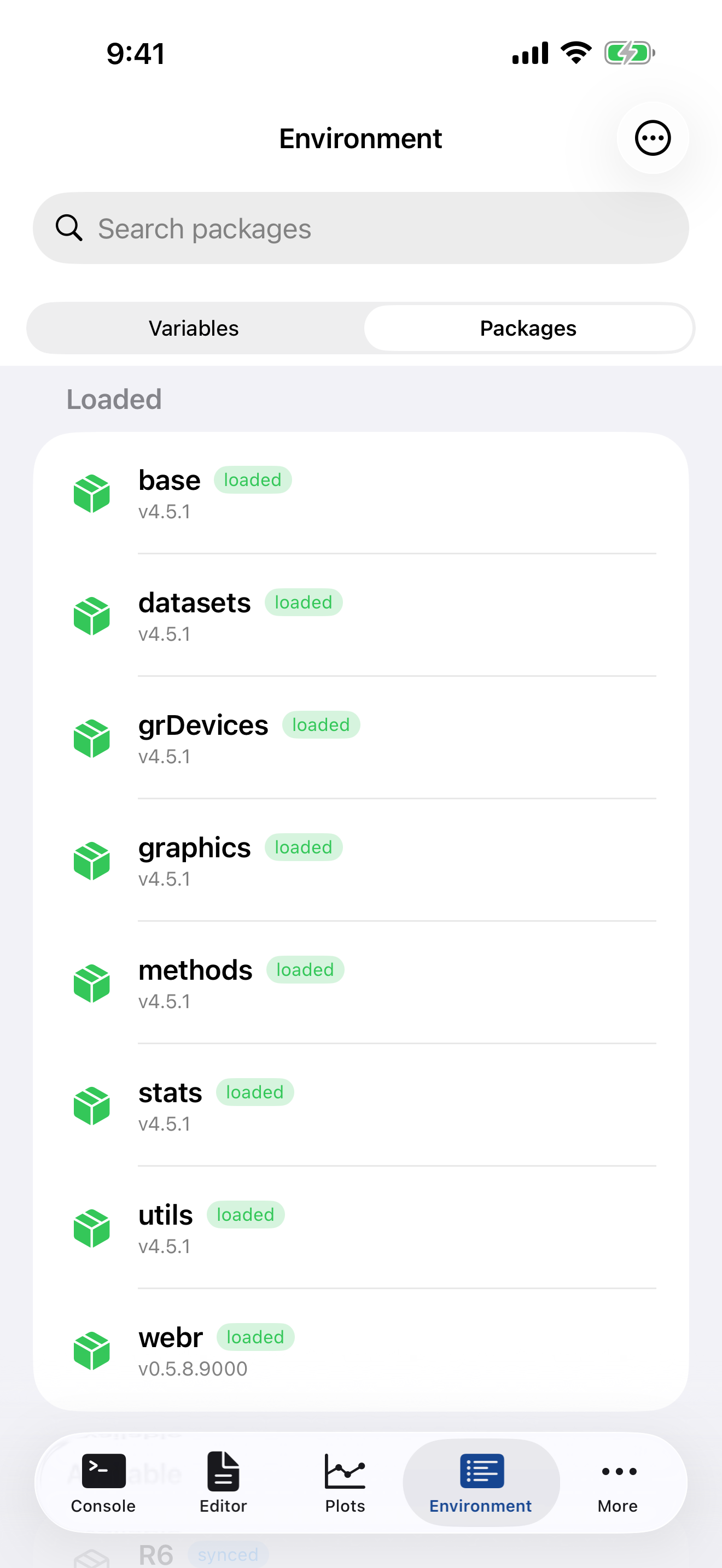 Packages tab on iPhone showing installed R packages with loaded status