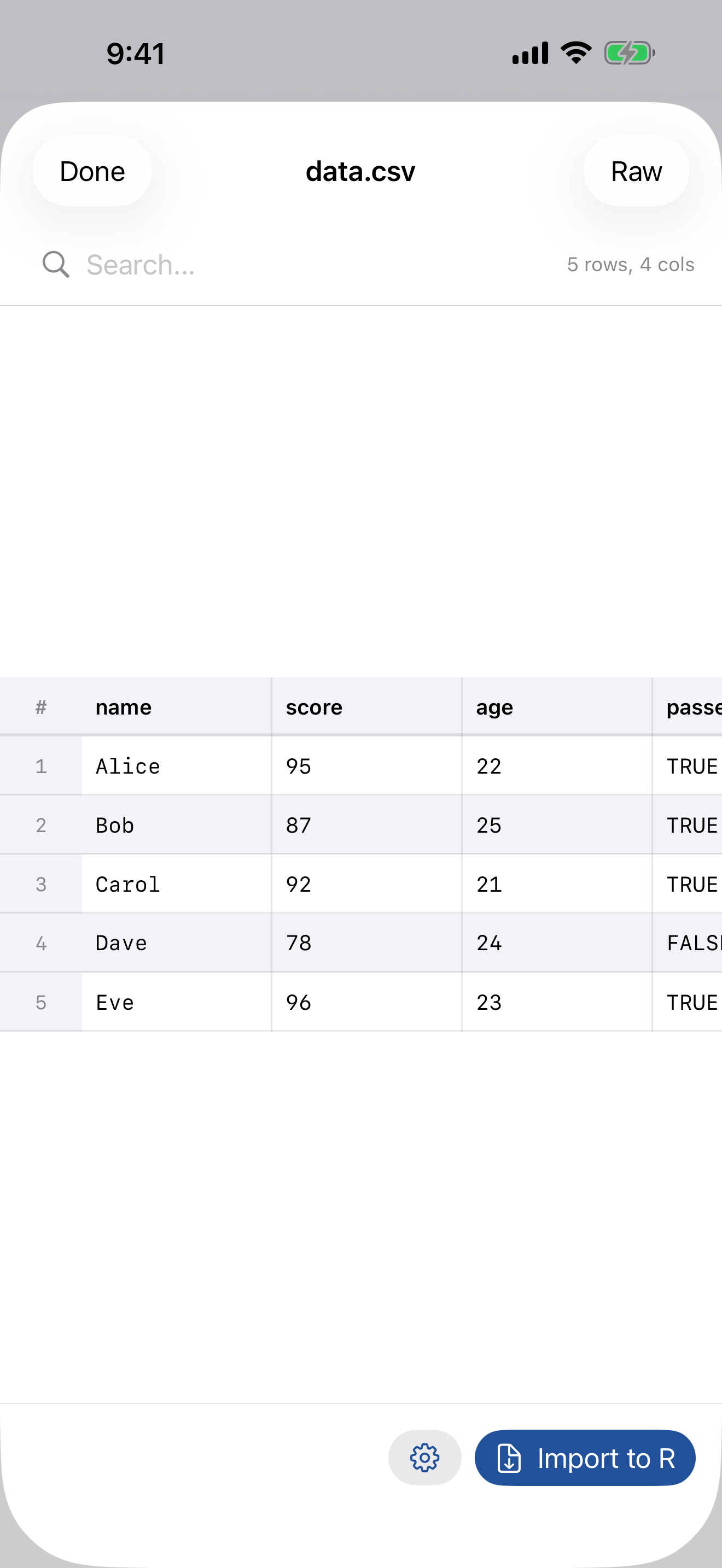 CSV table preview on iPhone